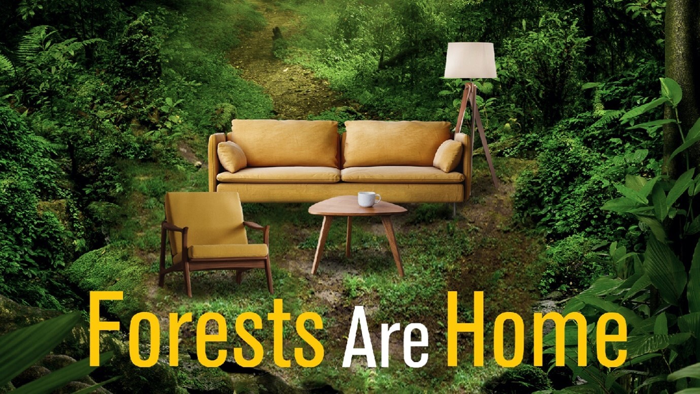 Forests are Home campaign: sustainable forest management for wooden furniture